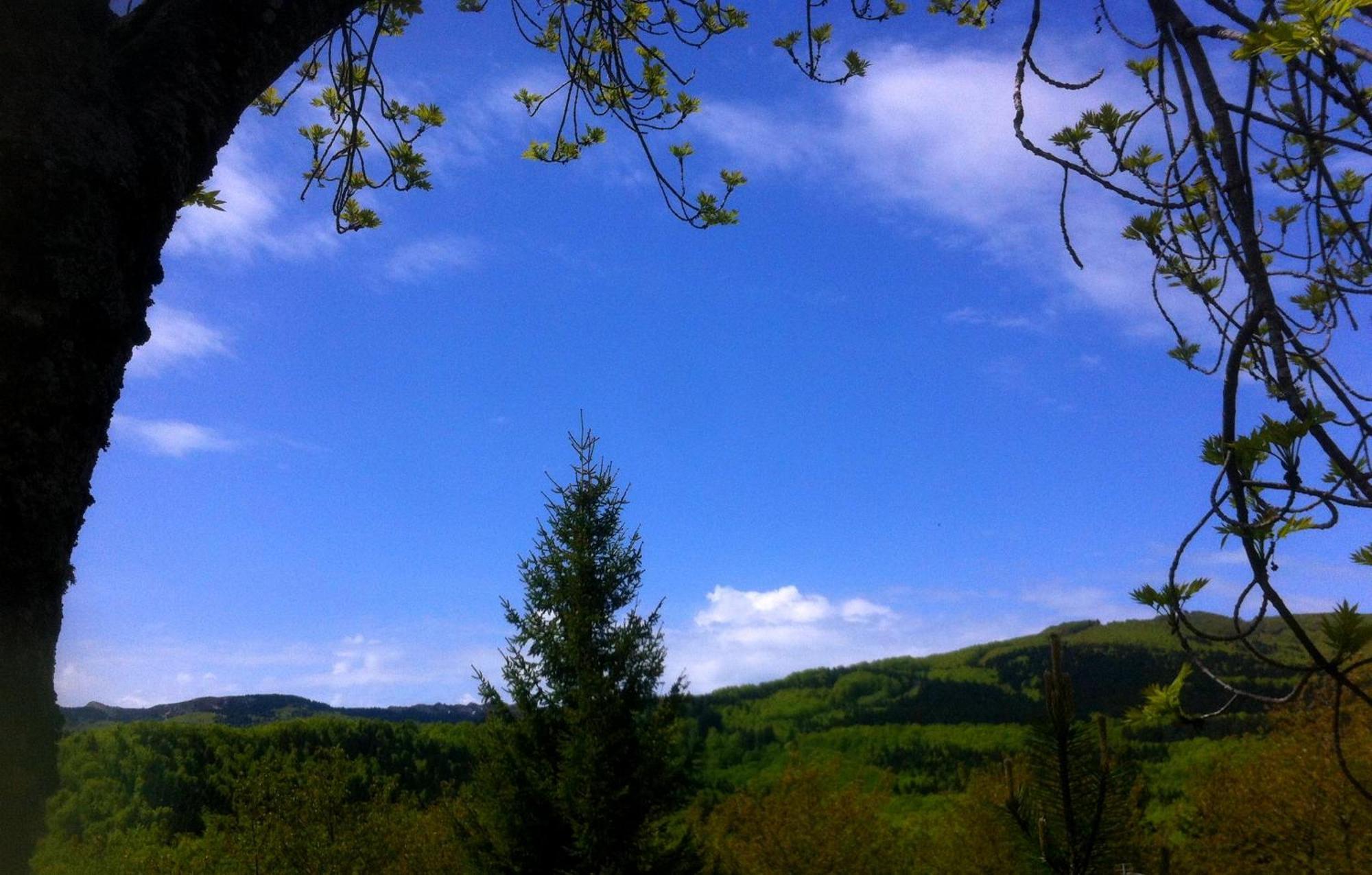 B&B Bucaneve Abetone Buitenkant foto