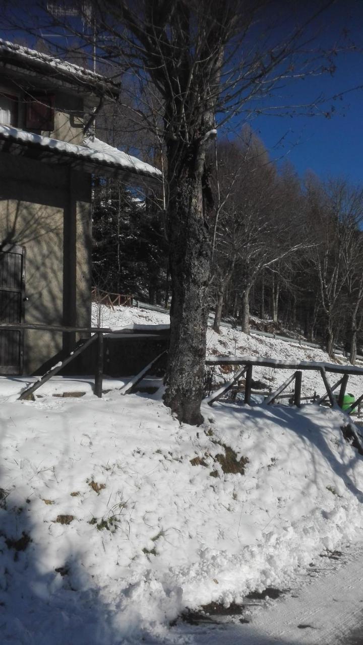 B&B Bucaneve Abetone Buitenkant foto